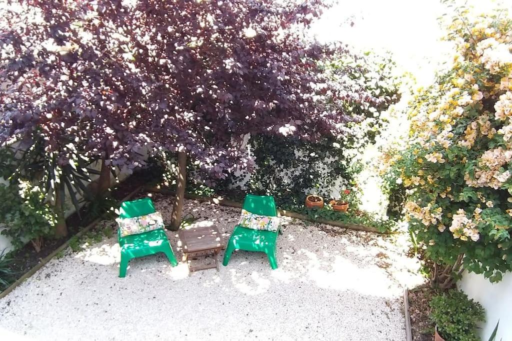 Apartment With Private Garden - Central Location Lisboa Ngoại thất bức ảnh